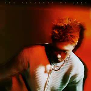 果冻传媒一级毛片视频
