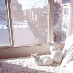 果冻传媒一级毛片视频
