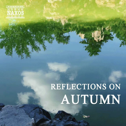 果冻传媒一级毛片视频
